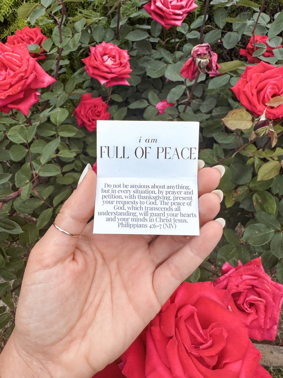 Scriptural Affirmation Jar – Daily Bible Verse Encouragement & Christian Identity Truths
